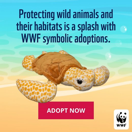 Have an extra fin-tastic summer by making a symbolic adoption! Bring home an adorable plush while helping WWF protect vulnerable wildlife and their habitats. | World Wildlife Fund