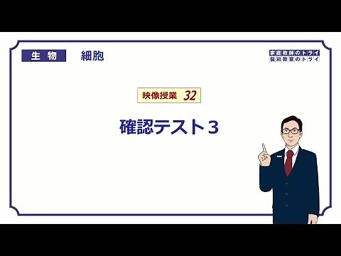 [High school biology] Cell 32 Protein synthesis and function Confirmation test 3 (16 minutes)
