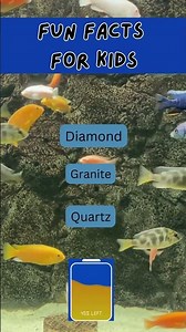 Fun Facts #animation #funny #Trivia #Quiz #FunChallenge