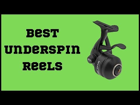 5 Best Underspin Reels In 2024 (Reviewed & Tested)