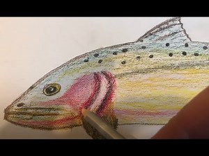 Learn To Draw A Trout With RFC