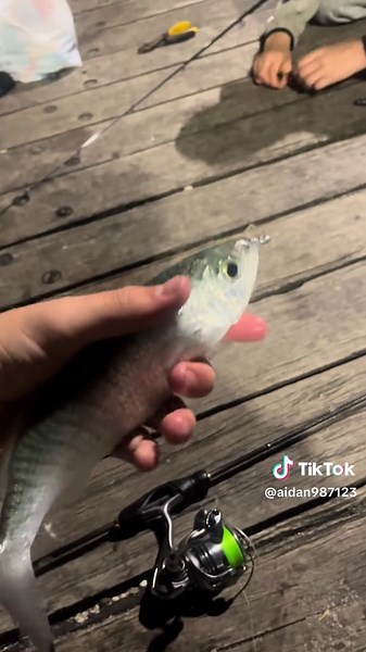 Ajing Rod: Catch More Mackerel While Fishing