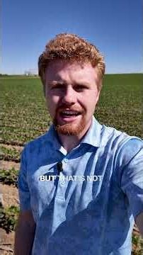 Inside Zach Hefty's White Mold Strategy