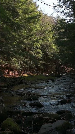 Crisp November Morning Along the Quacken Kill