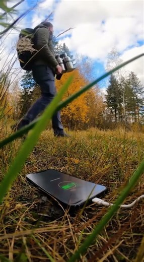 Goshawk Attacks Rabbit Near a Hiking Trail