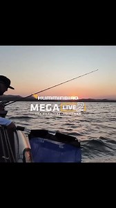 Mega Live 2 in Landscape mode is going to be a big player in the shallow water events next season on the Elite Series……………🎣 @humminbirdfishing @humminbird_au_nz We got to test it out on the suspending Barramundi this year on the tour and it was perfect for leading them with a Jerkbait and seeing your lure and reactions! Can’t wait to get it loaded up on my new boat this year! #Humminbird #MegaLive2 #Landscape | Carl Jocumsen