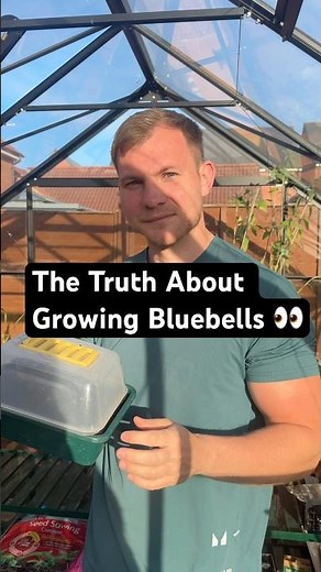 The Truth About Growing Bluebells👀