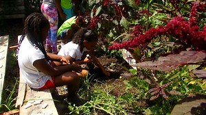 Summer program aims to grow better readers