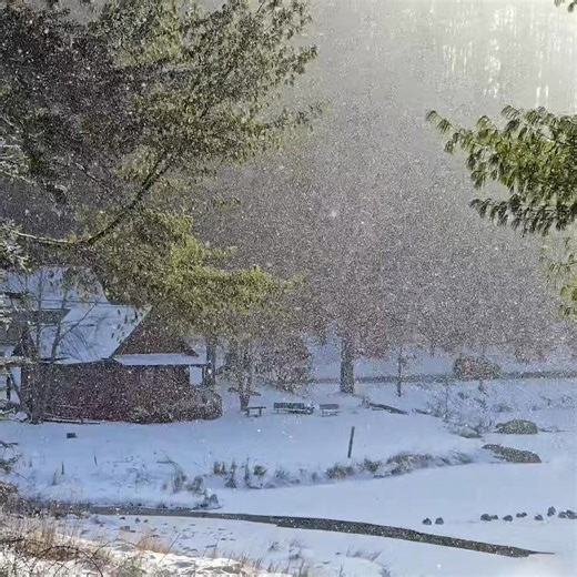Diamond dust snow at the frozen Mill Pond this morning. | Visit Banner Elk