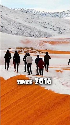 Snowy Desert ❄️🏜️ | A Rare Winter Wonderland