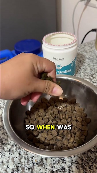 3 Easy Ways to Clean Your Dog's Teeth Without a Toothbrush