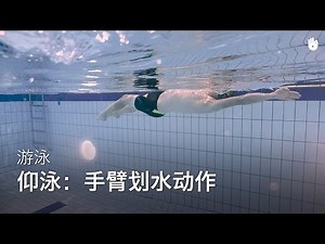 手臂划水动作 | 学习仰泳