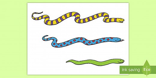 Snakes of Varying Lengths Cut Outs