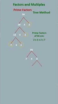 Prime Factors | Tree Method-1 | #goldysclssroom #shorts #reels #multiples #factors #factortree #bond