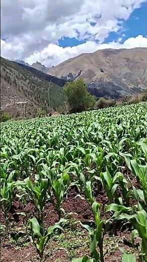 6 de noviembre de 2025