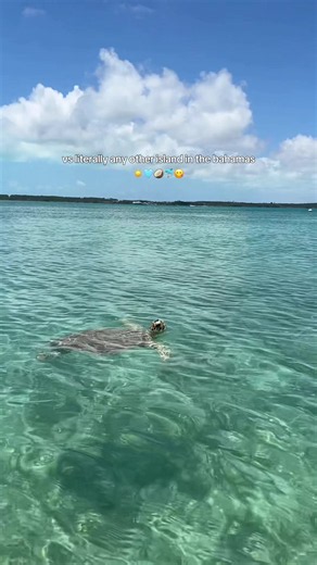 If you take one tip from me it’s do not go to Nassau if you can help it #nassau #bahamas #traveltips #vacation #beach