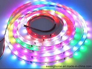 [Hot Item] DC12V/24V 5m LED Strip 5050 RGB, RGBW, Rgbww 60LEDs/M Flexible Strip for Home Decoration