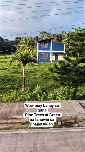 wow may bahay sa gitna, pine trees at green na tanawin sa ibajay,aklan