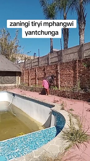 3.7K views · 50 reactions | Kuntchitoko pitirani ntchito,landirani salary and go home osapanga zachinzake...Bwerani tidye yammawa tidzipita.Koma kwacha? | Grace Kamanga | Facebook