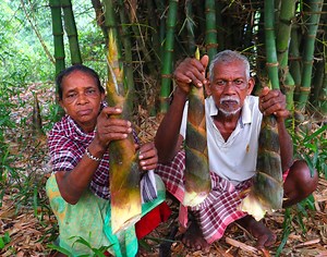 226K views · 2K reactions | BAMBOO MUROBBA COOKING | village style Murabba Recipe by our grandfather & grandmother | | Tribal village cooking | Facebook