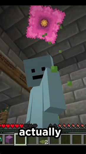 How to join a team on the donut smp!