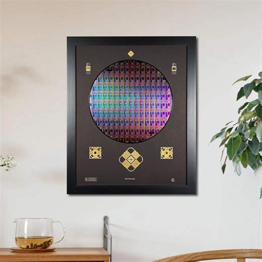 300mm (12 Inch) Silicon Wafer - Master Collection With IC Packages - Etsy