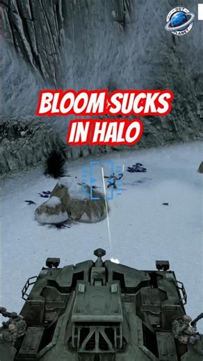This is what bloom looks like
