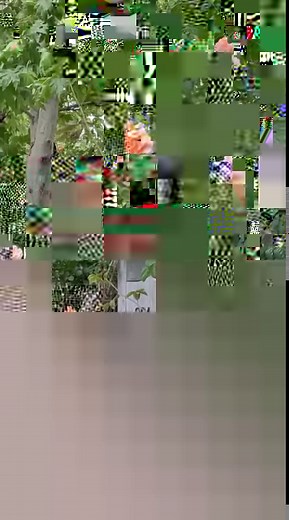 Flora and Fauna…As if Patina Farm understands that this will be our last spring here, she is giving us a very grand farewell.Our gardens have never looked so beautiful… our rose bushes create a carpet of varied hues surrounded by lush greenery… white iceberg roses blanket the steel trellis behind the fruit orchard, whose trees are just beginning to bear the sweet gifts we will enjoy in the next few months… honey bees float from flower to flower in our meadow, pollinating the daisies, poppies, an