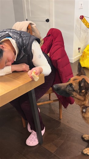 Sunshineallday6 (@sunshineallday6)’s videos with Austin Powers Theme (Soul Bossa Nova) - N.Y. Jazz Orchestra