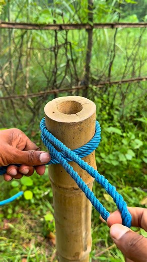Strong Bamboo Pole Rope Knot | Easy & Secure Binding Knot Tutorial #knot #survival #rope