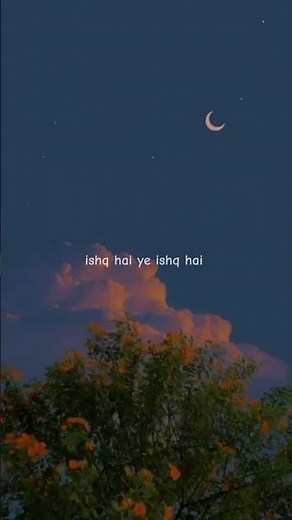 🌼Ishq hai ye ishq hai song lofi💕 | aesthetic status🍁 | trending instagram song | #trendingshorts