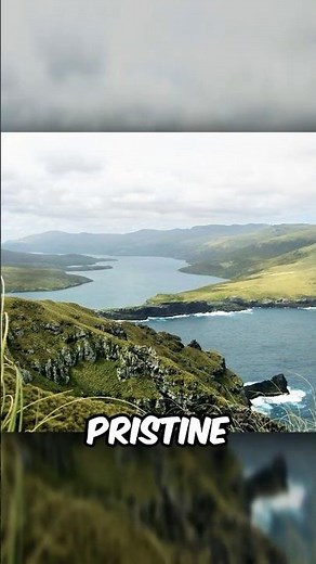 Auckland Island: New Zealand’s Subantarctic Gem 🌿