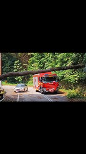 365 Durian & Tropical Fruit Penang - 365槟城榴莲园 on Reels | Facebook