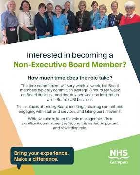 What does a Non-Executive Board Member do?
