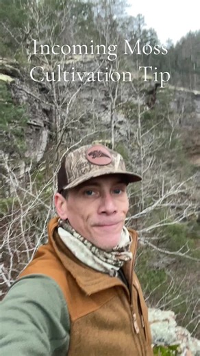 Beginner's Guide to Moss Cultivation Tips