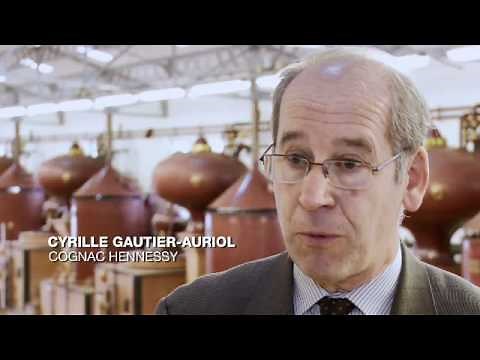 Distillation -- The Birth of Cognac