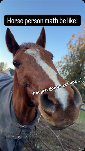 Milestone Equestrian, CEBC on Instagram: "Horse girl math 💁🏽‍♀️ #girlmath"