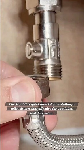Mastering Your Plumbing: Simple Toilet Valve Replacement