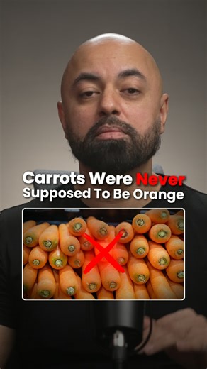 Did you know that carrots aren’t supposed to be orange? In fact, the carrots you’re eating today were engineered to look that way. If you go back hundreds of years to Central Asia, where carrots originally came from, there were no orange carrots. They were purple, yellow, and white. But there was a problem. These original carrots weren’t as sweet, and they didn’t sell as easily. So in the Netherlands, in the 17th century, farmers selectively bred carrots to be orange. They wanted them to sell ea