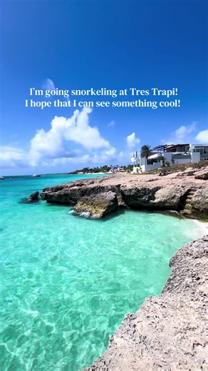 Snorkeling Adventures with Sea Turtles in Aruba