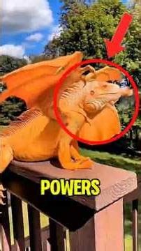 Animals With Real Superpowers ‼️😱