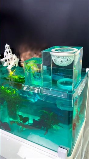 it’s time to update your aquatic looking. Shop by link in my bio! 😘 #aeroaquarium #aquarium￼