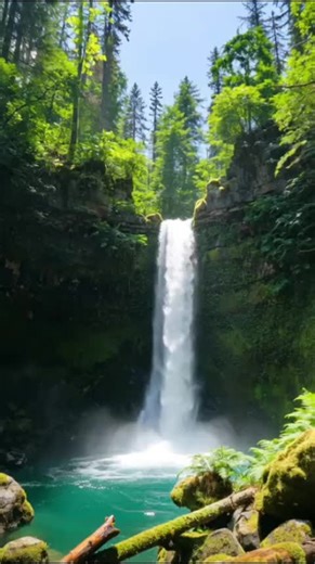 Waterfall in the forest #waterfall #forest #nature #naturelover #artnaturevisions