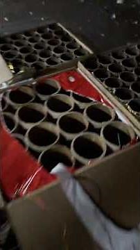 B.I.G POPPA 4" 16 shots #fireworks #vuurwerk #feuerwerk #pyrotechnica