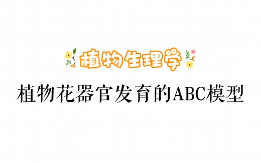 三分钟搞清知识点之 植物花器官发育的ABC模型