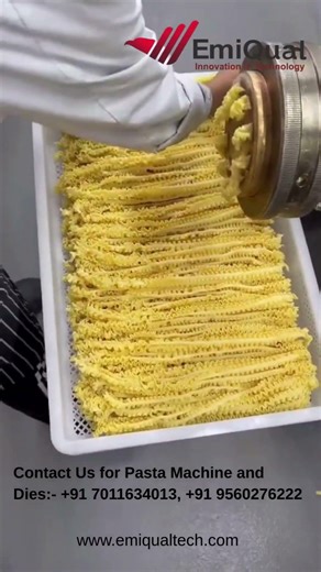 Automatic Pasta Machine | Multiple Pasta Shapes Production | Industrial Pasta Processing Line