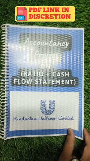 Accountancy Project File Class 12th (Hindustan Unilever) #project #viral #trending #schoolproject
