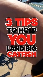 Finding big blue catfish this time of year is all about locating the right structure and bouncing your bait along the bottom! Check out this month’s issue of CatfishNOW for the latest tips and tricks to help you reel in some monster catfish. https://catfishnow.com/monster-cats-on-the-big-muddy-by-mike-giles/ #CatfishFishing #BlueCatfish #FishingTips #BigCats #CatchMoreFish #CatfishNOW | Catfish NOW