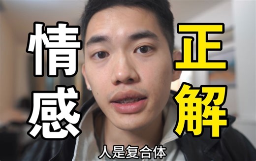情 感 正 解