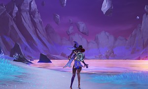 How to go to Seirai Island and take pictures in Genshin Impact